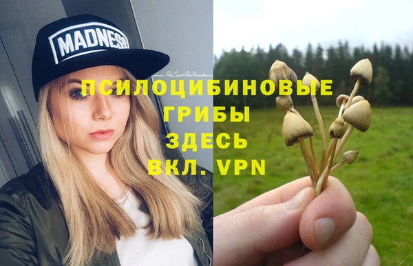 не бодяженный Аркадак